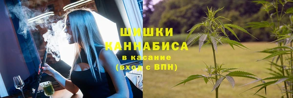 бошки Арсеньев