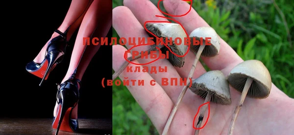 mdpv Армянск