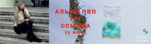 spice Аркадак