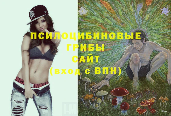бошки Арсеньев