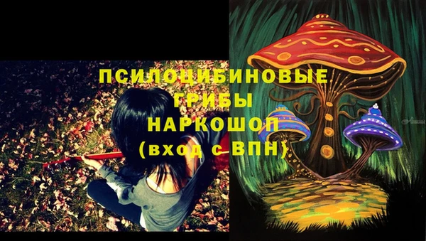 spice Аркадак