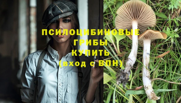 бошки Арсеньев