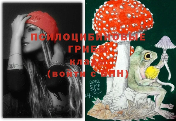 бошки Арсеньев
